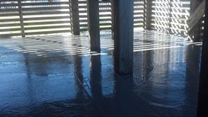 Underneath a House in Colington Harbor